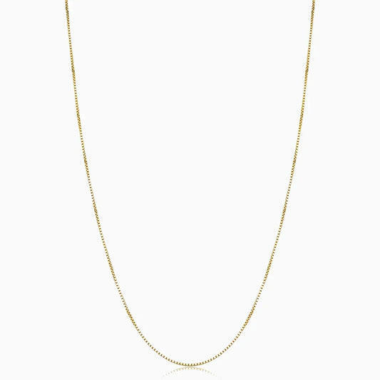 Collar con caja Bodega | Oro